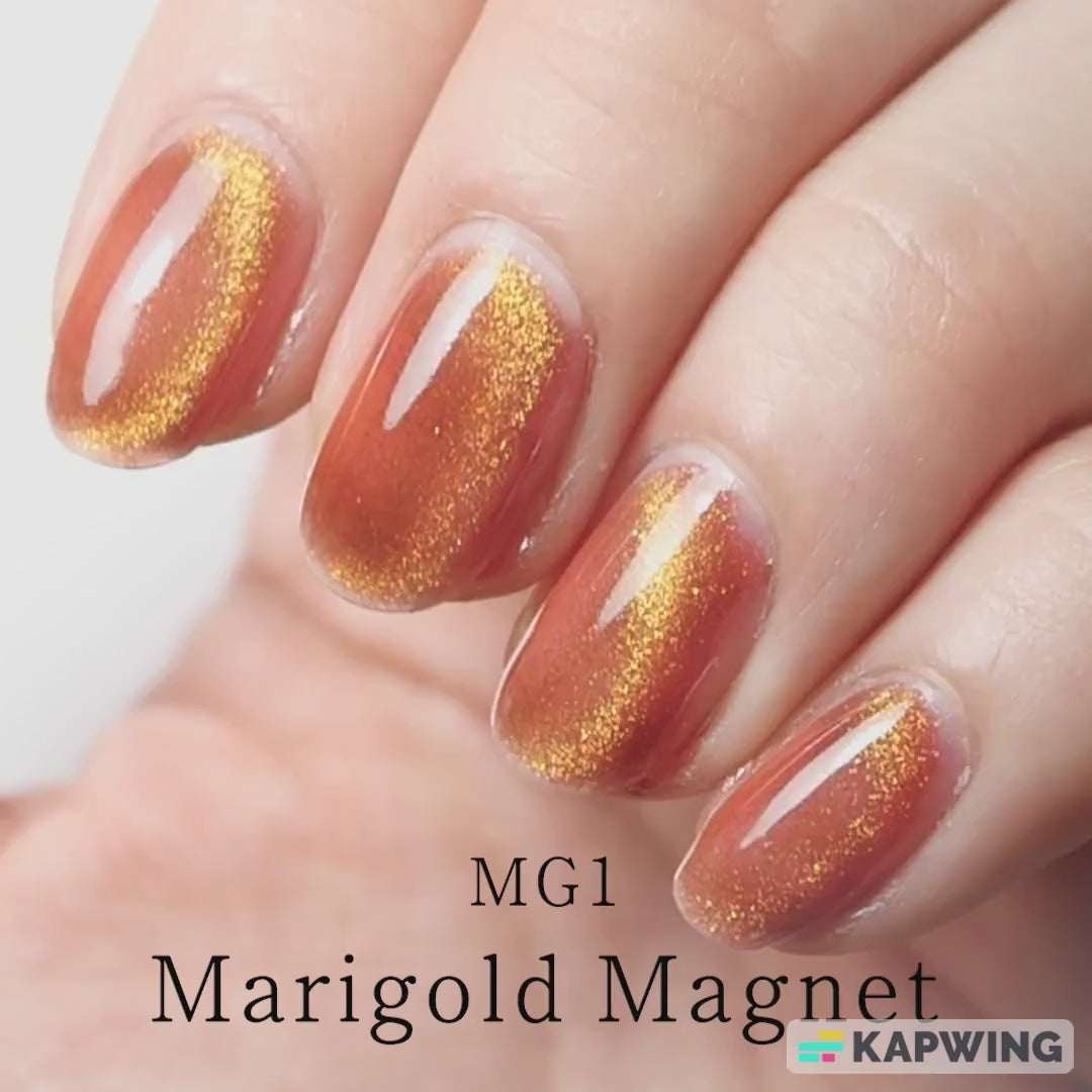 Magnet Gel Polish MG1 