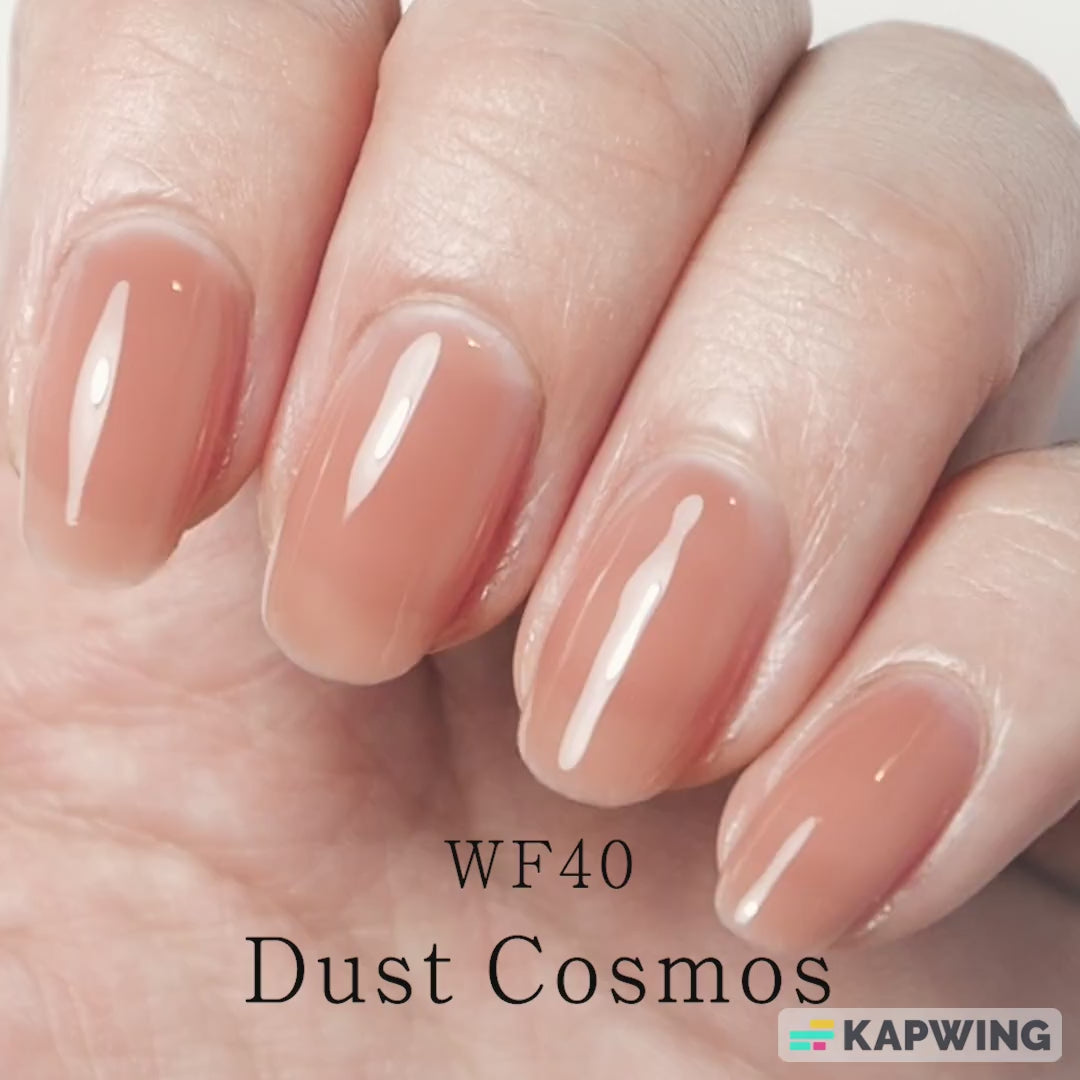 Gel Polish WF40 