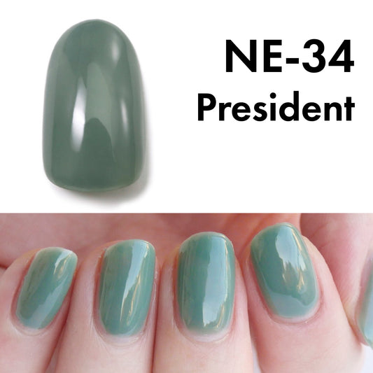 Gel Polish NE-34 "President"